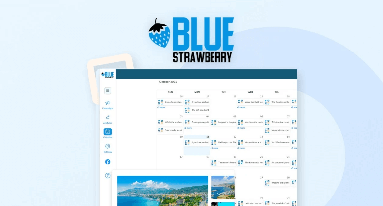 Blue Strawberry – The Best Social Media Automation Tool - Home